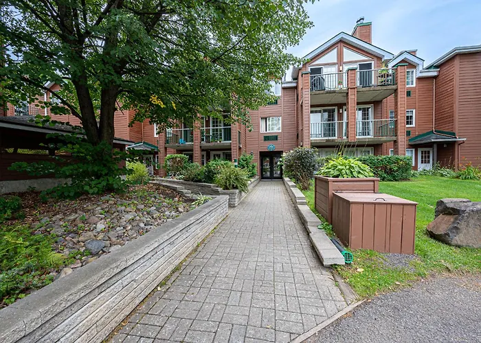 Le Bordeau A Saint-Sauveur